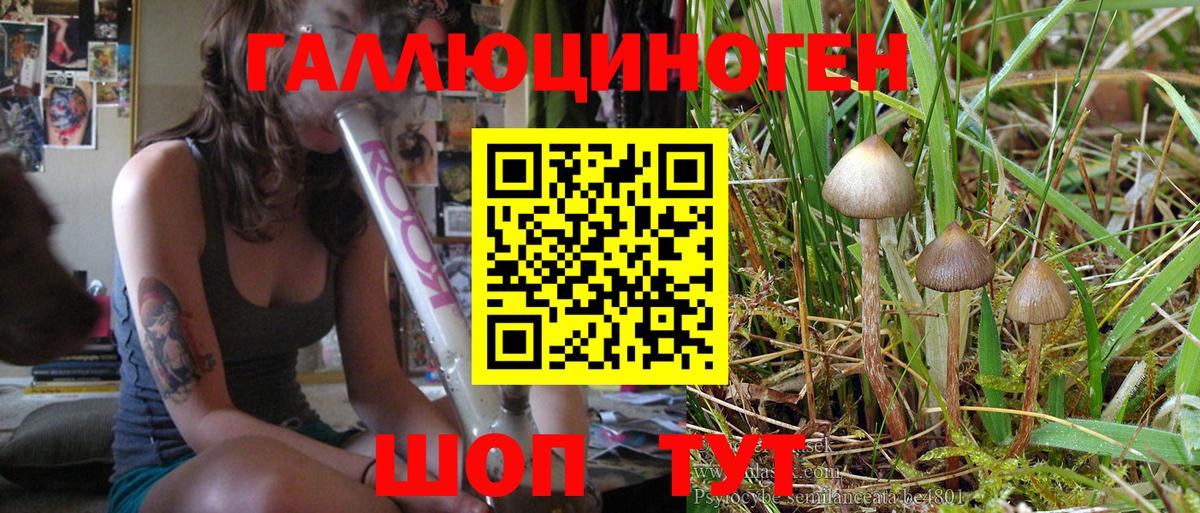 Псилоцибиновые грибы Magic Shrooms  Вход с VPN  Михайловск 