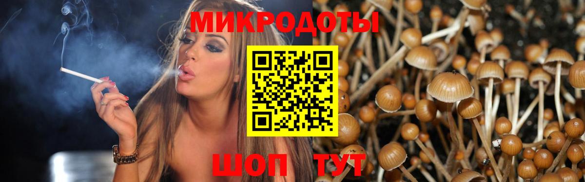 Галлюциногенные грибы ЛСД Михайловск